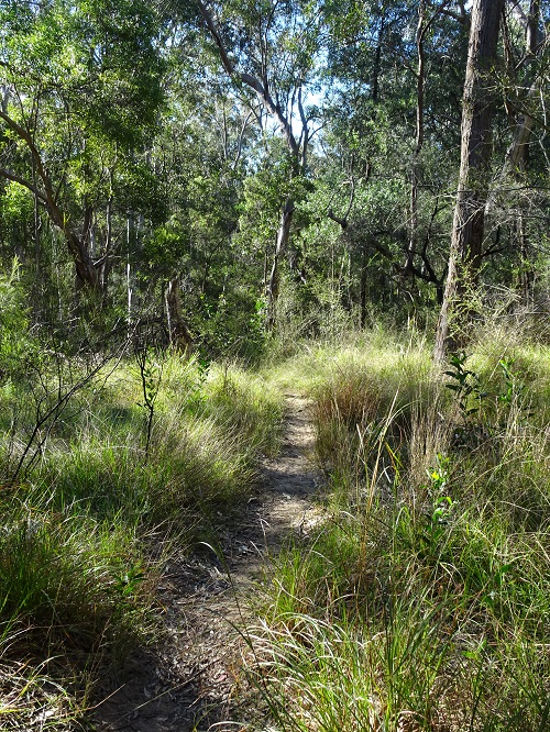 Chain of Ponds Reserve (Reserve) Hawkesbury history & location Chain of Ponds Reserve (Reserve) Hawkesbury history & location